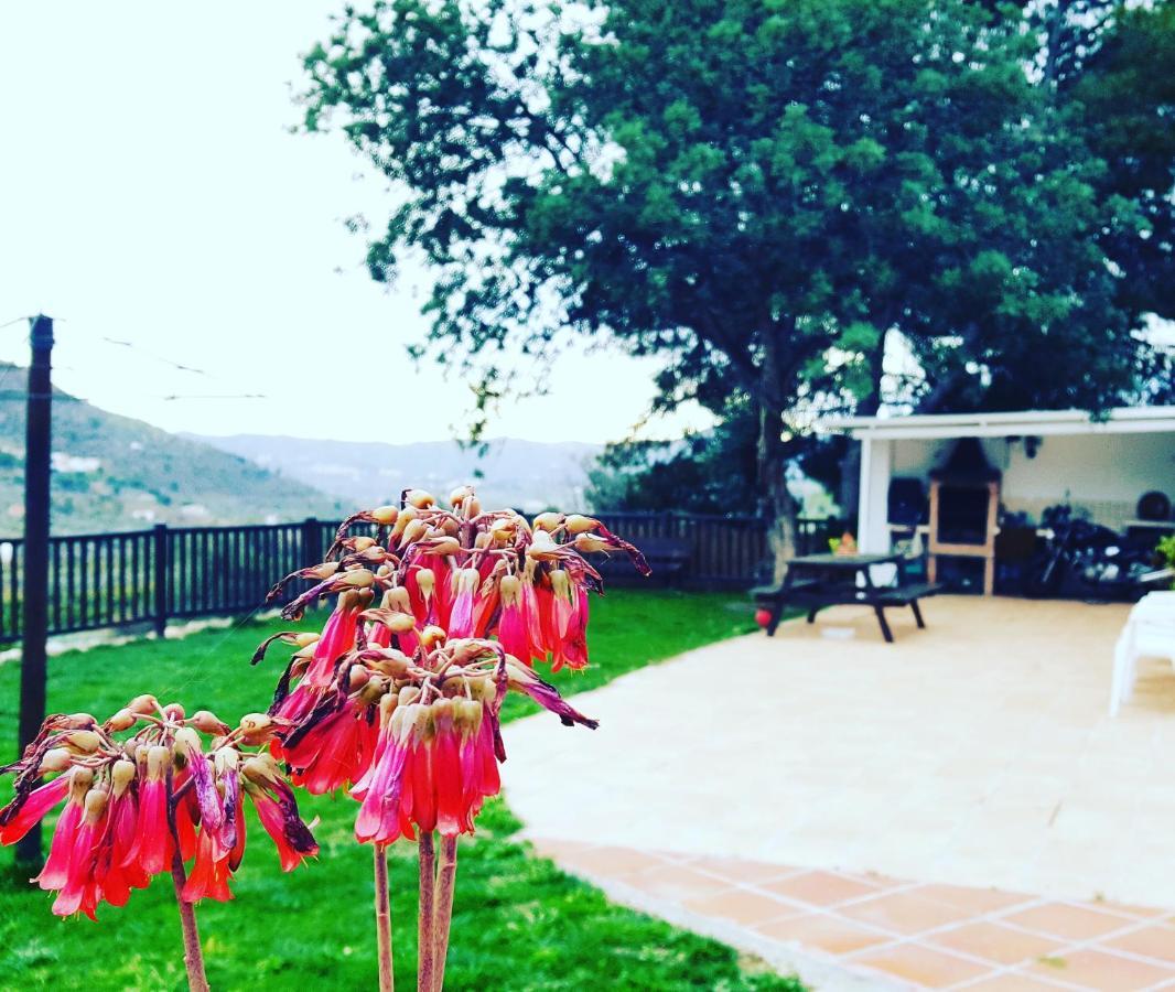 Casa Molina Villa Alcaucin Bagian luar foto